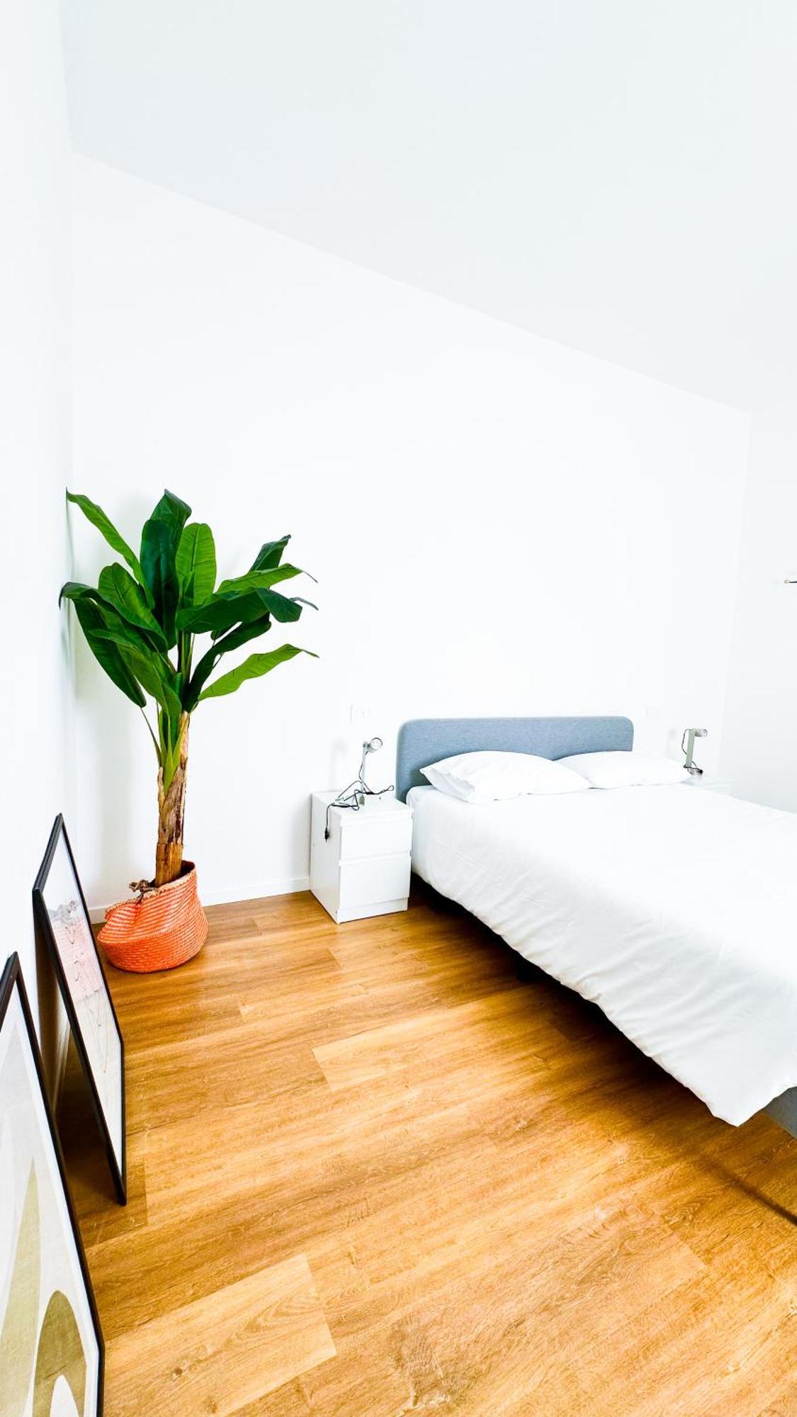 Apartment Adua1